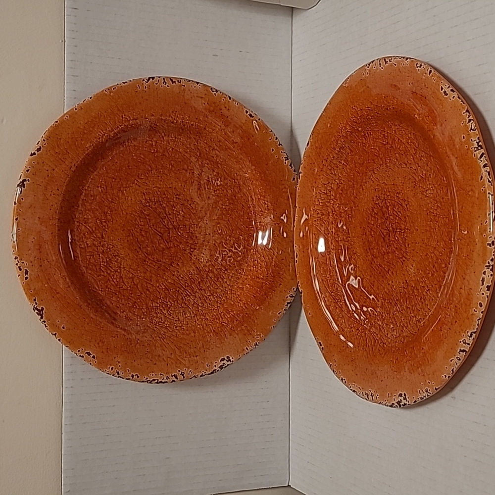 NWT Pair of Pier 1 Carmelo Melamine Plates